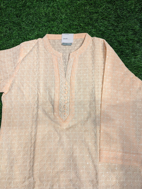 Cotton Chikankari Kurti | Light Peach Chikankari (53)