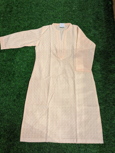 Cotton Chikankari Kurti | Light Peach Chikankari (53)