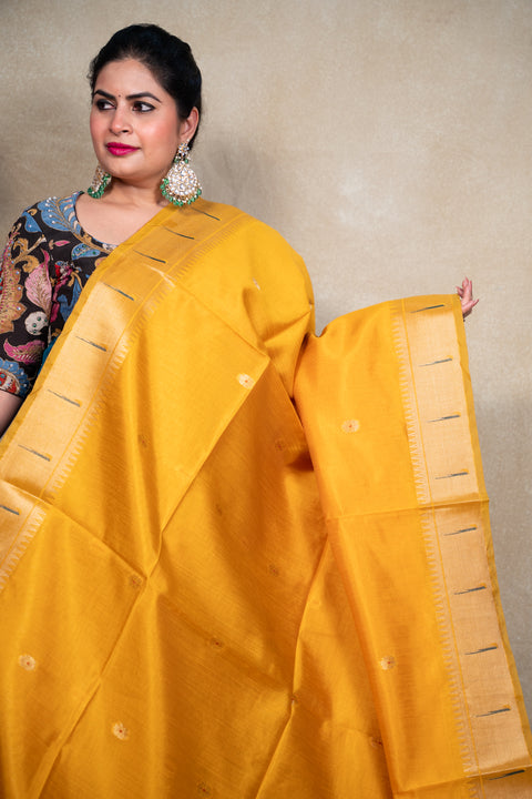PAITHANI 1