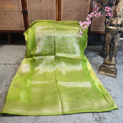 Banaras Pastel Sarres-13