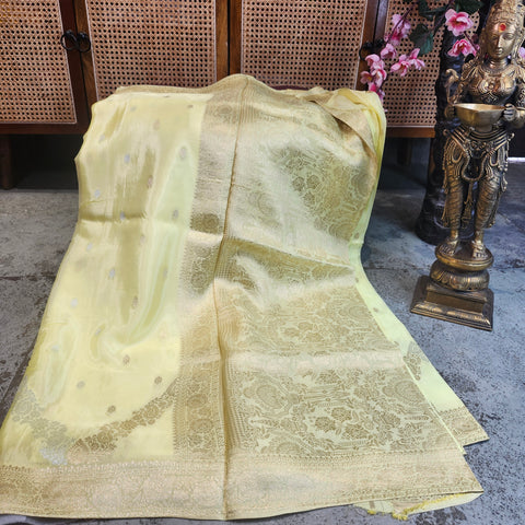 Banaras Pastel Sarres-27