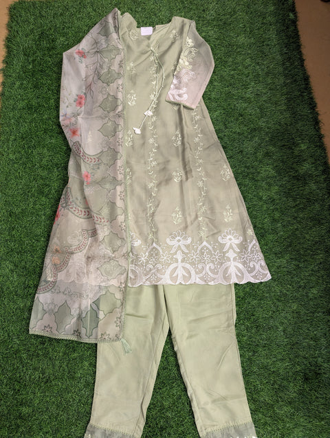 Italian Silk Printed Kurti | Pastel Green Emb (28)
