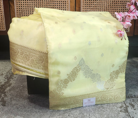 Banaras Pastel Sarres-27