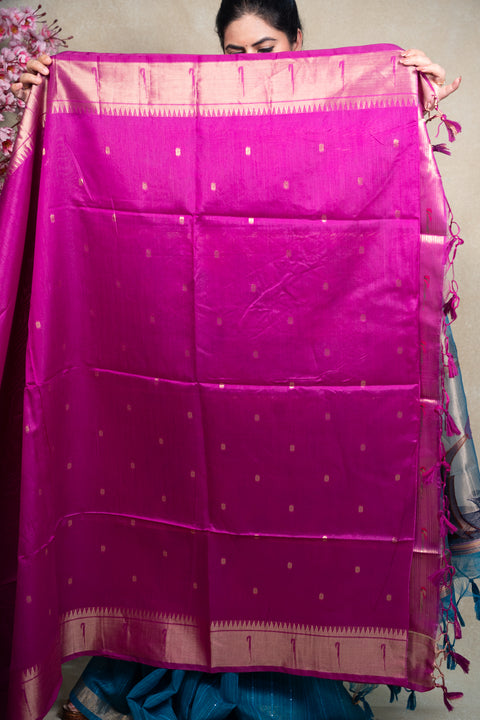 PAITHANI 1