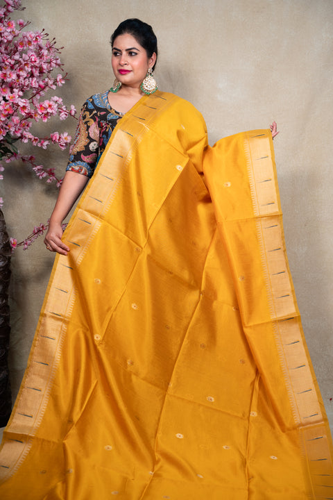 PAITHANI 1