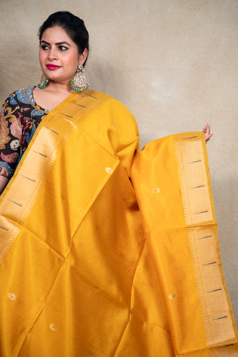 PAITHANI 1