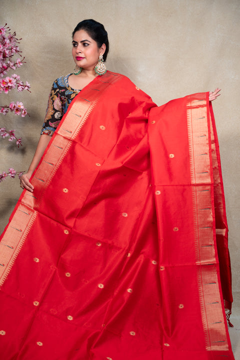 PAITHANI 1