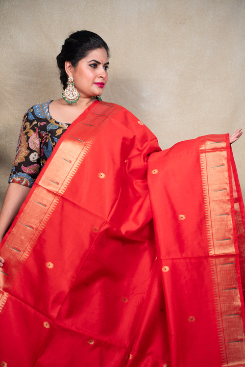 PAITHANI 1