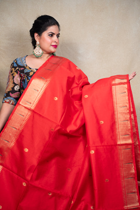 PAITHANI 1