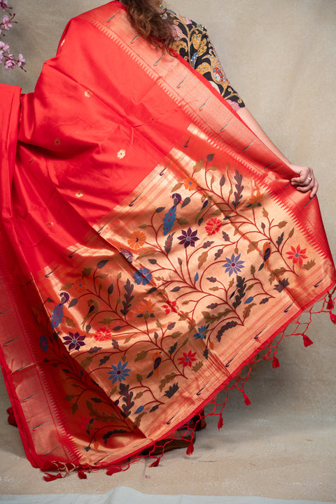 PAITHANI 1