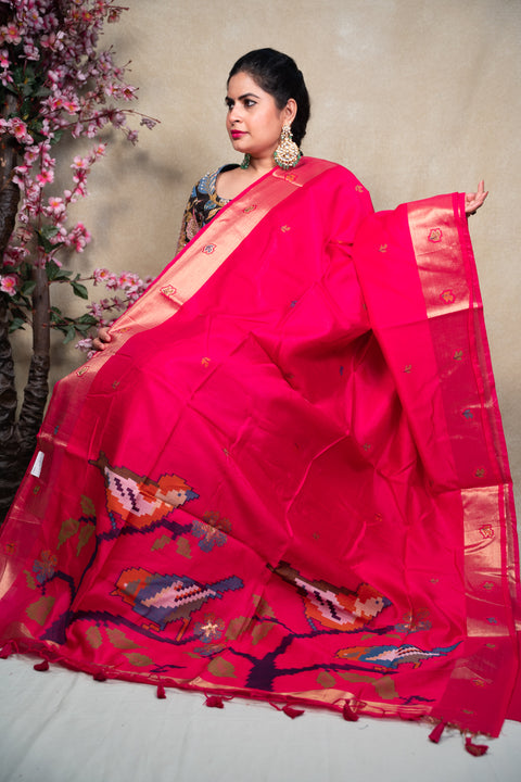 PAITHANI 2