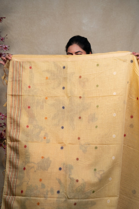 Cotton Kora Paithani