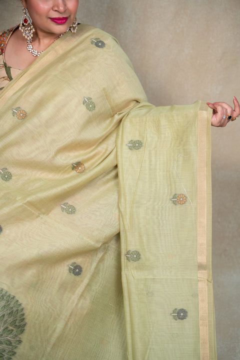 Cotton Paithani