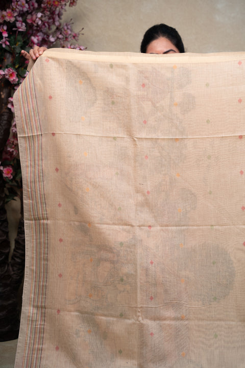 Cotton Paithani