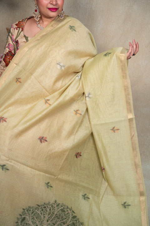 Cotton Paithani2