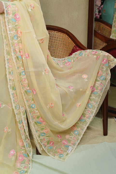 Fancy Chinon Sarees