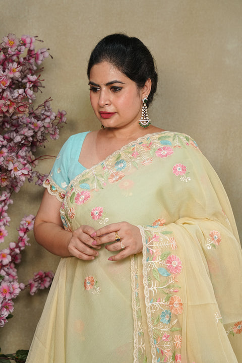 Fancy Chinon Sarees